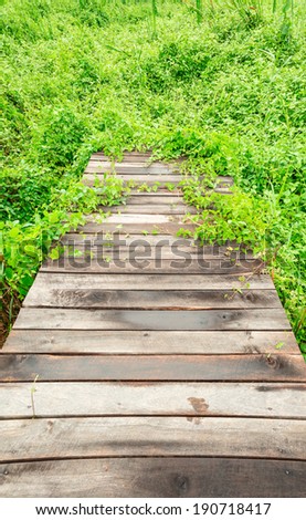 Wood walkway covered with green climber plant