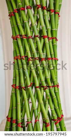 Small green bamboo and red ribbon