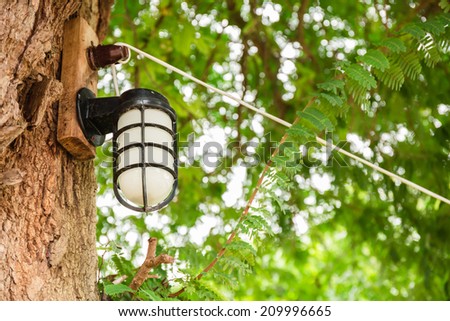 New white lamp under old tamarind tree