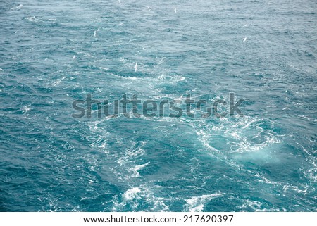 Foamy track on green sea and sea gull flying behind the stern of the ship