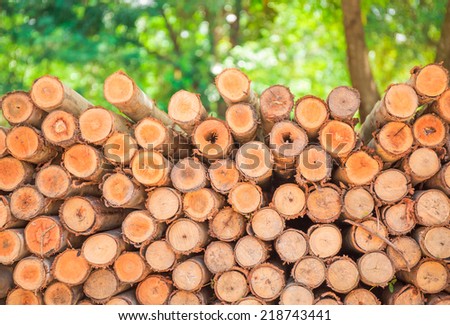 Stack of brown circle wood on green tree background