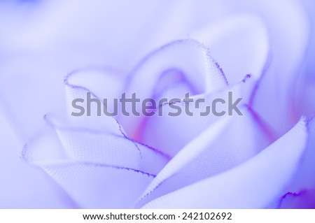 Purple fabric rose in texture