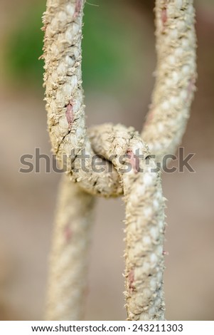 Knot old rope