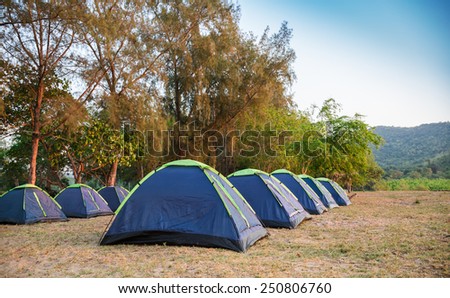 Tents row on pine forest sea beach