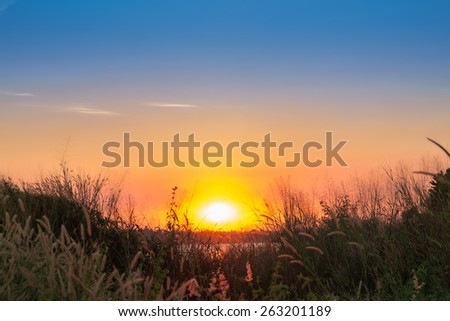 Sunset time over lake in grass flower field