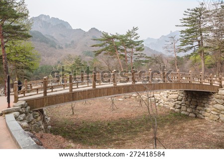 Old wooden bridge in pine forest in spring season