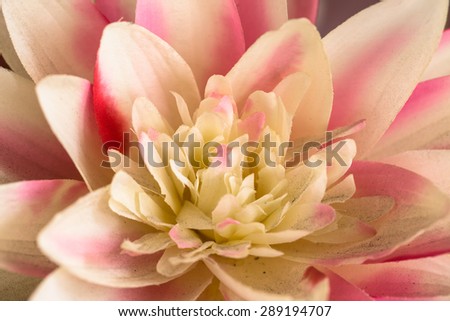 Dusty pink fabric lotus