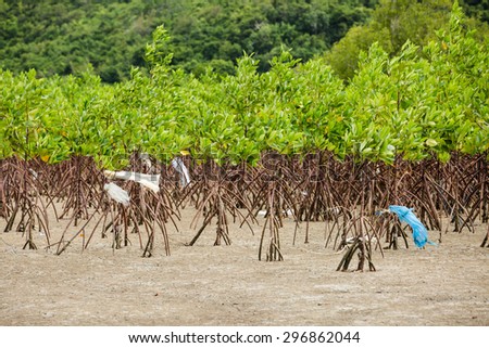 The ebb tide sea beach and green mangrove forest with plastic trash