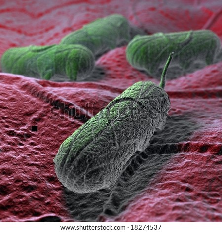 This is a Salmonella microbe. Excellent for medical presentations diagrams. ** Note: Slight graininess, best at smaller sizes