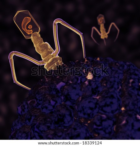 Invading Bacteriaphage This is depicting a bacteraphage virus invading a host cell.