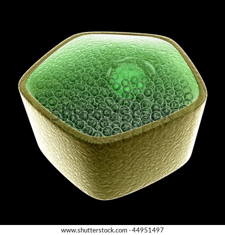 Plant Cell Background