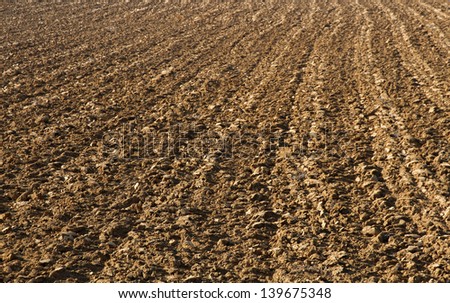 Recently plowed plot of land.
