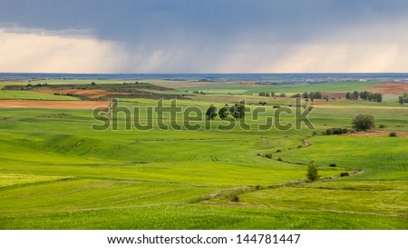 Beautiful landscape of cereal crops in spring green with ocher land and trees. Sky with storm clouds rain