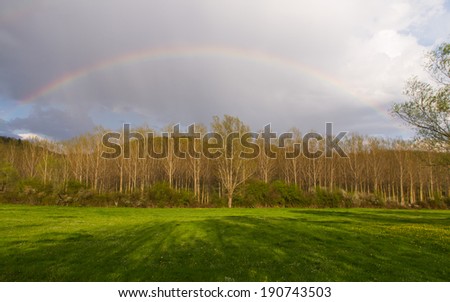 Meadow landscape with poplar trees and rainbow in the sky at sunset. After a spring storm