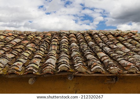 Roof tiles filled with old moss and lichens in a stand of adobe and sky background