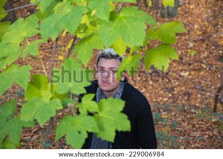 Young man looking up at green leaves of the tree in an autumn setting