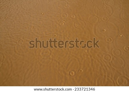 Raining on a puddle of muddy water - Drops of rain splashing in a puddle of muddy water