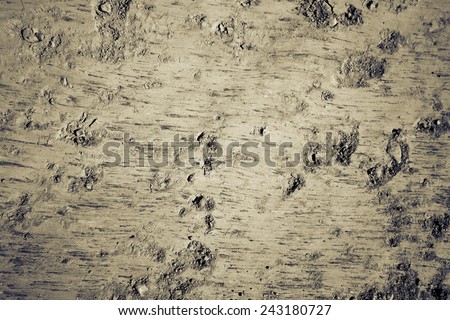 Texture or background footprints on Earth scratched or Esplanade recently by an excavator . Photographic processing