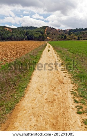 Long straight path between cultivated land amounts to fund a hill with trees until an urbanization on top