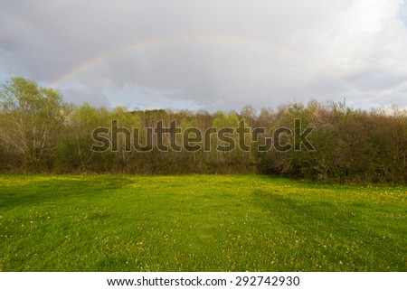 Landscape meadow and grove of willows and poplars with rainbow in the sky at sunset. In the foreground meadow with yellow flowers after a spring storm