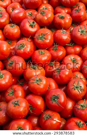 Freshly pulled from the ground and unwashed, on display for sale at outdoor market natural tomatoes