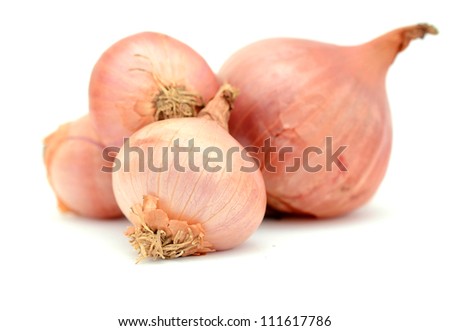 shallot onion