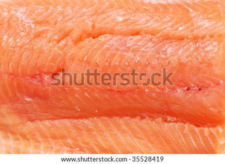 a salmon fish background