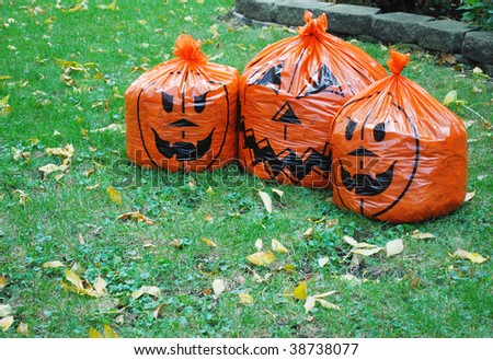 the Halloween leaf bags