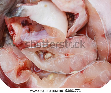catfish slices background
