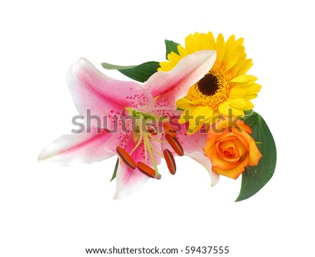 thank you flowers pictures. thank you flowers. bunch of