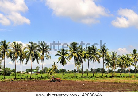 Farmer using tractor plowing the land for the rice plantation season