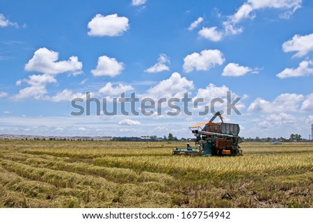 combine machine harvesting in rice field - crop agriculture farm gold technology straw dry blue farmer