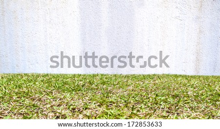 cement wall texture and green grass - surface pattern concrete plants weathered material relax protection covering