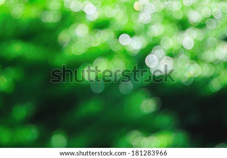 green abstract background - backdrop round illuminated spotted circle nature morning sunrise