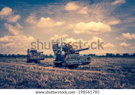combine machine harvesting in rice field