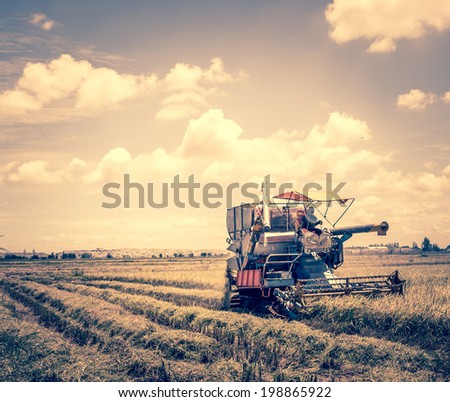 combine machine harvesting in rice field