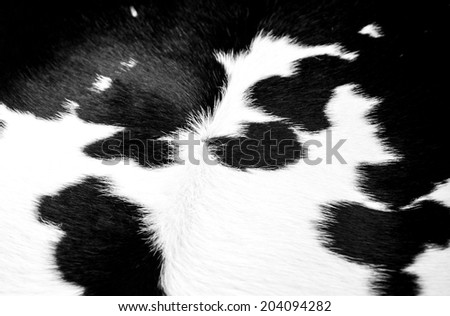 cow skin - design texture background