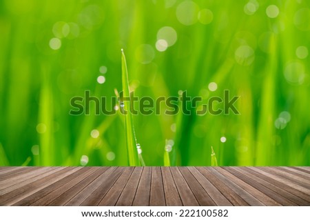 wood textured backgrounds in a room interior on green grass background