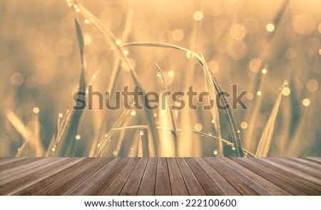 wood textured backgrounds in a room interior on green grass vintage background
