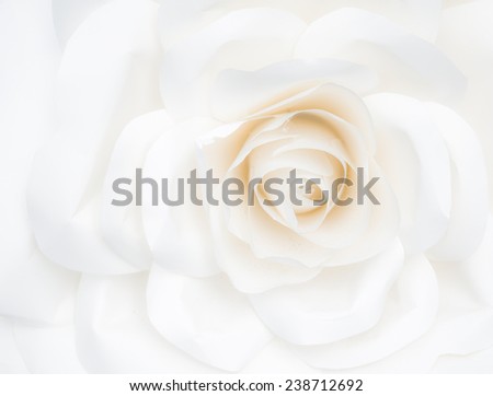 white rose - design paper closeup