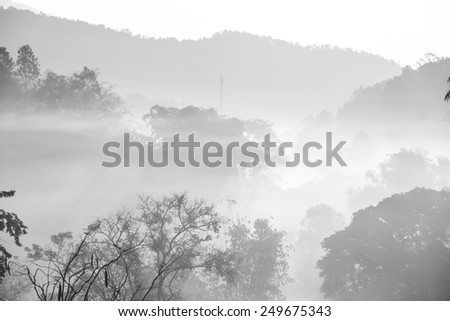 Chiangmai valley hills in the mist in the morning, northern Thailand - black and white