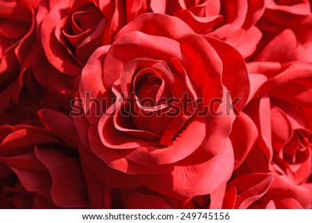 red roses - flowers fragrance valentine wedding love