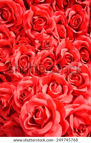 red roses - flowers fragrance valentine wedding love