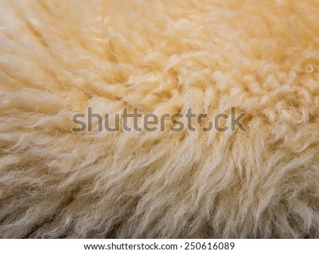 sheep skin
