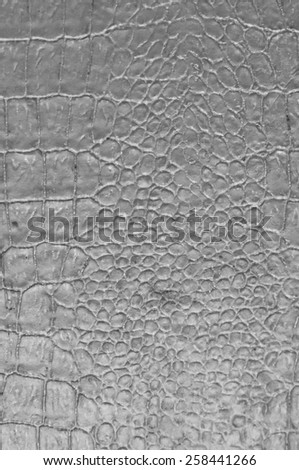 paper texture - animal skin design cardboard bag recycling page material gray background