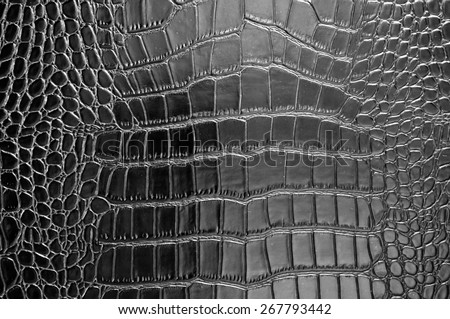 reptile skin - design texture pattern background crocodile snake serpent alligator closeup