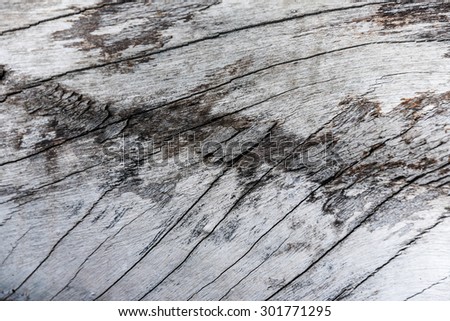 wood texture  - brown blank plank surface shiny wooden wall floor frame exterior panel timber material grey background
