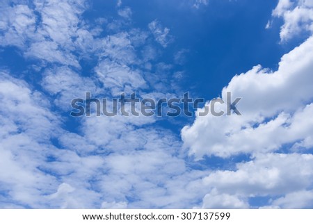 blue sky and clouds and silhouette trees - bright climate peaceful weather daylight heavenly