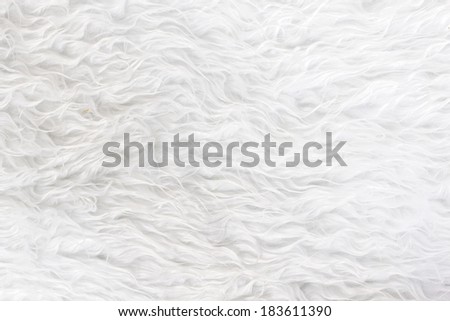 white fur texture