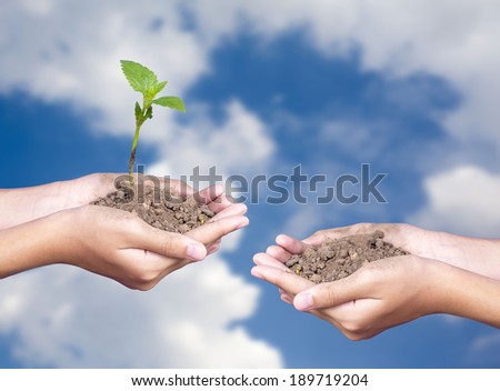 Close up image of human hands holding sprout